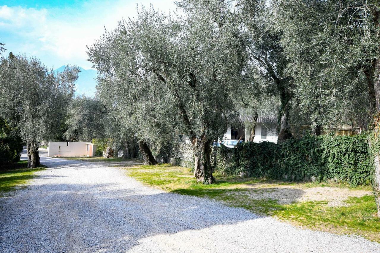 Residence Kormorano Malcesine Lake View ภายนอก รูปภาพ